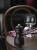1a.webp