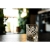 4.webp