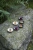 4.webp