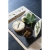 2a.webp