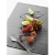 5.webp