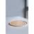 1aa.webp