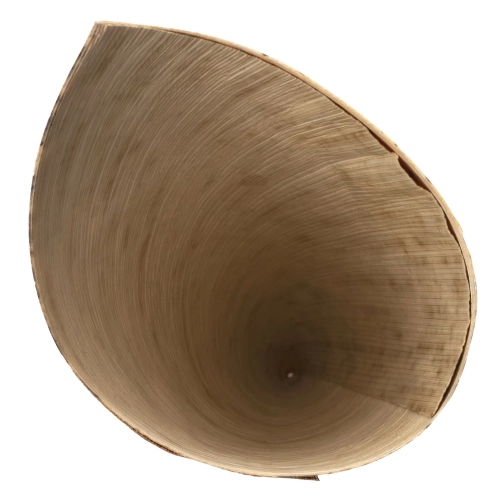 v-30050_3.webp