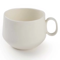 1a.webp