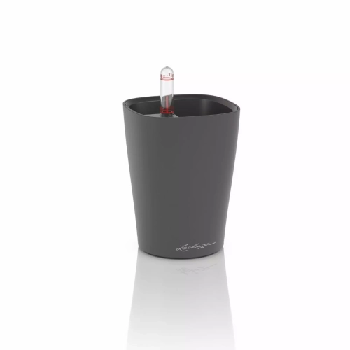 MINI-DELTINI Premium  basalt grey matt.webp