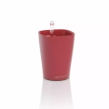 MINI-DELTINI Premium scarlet red matt.webp