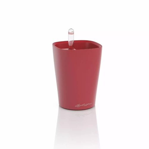MINI-DELTINI Premium scarlet red matt.webp