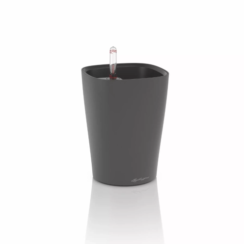 DELTINI Premium  basalt grey matt.webp