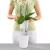 DELTINI Premium matt white (4).webp