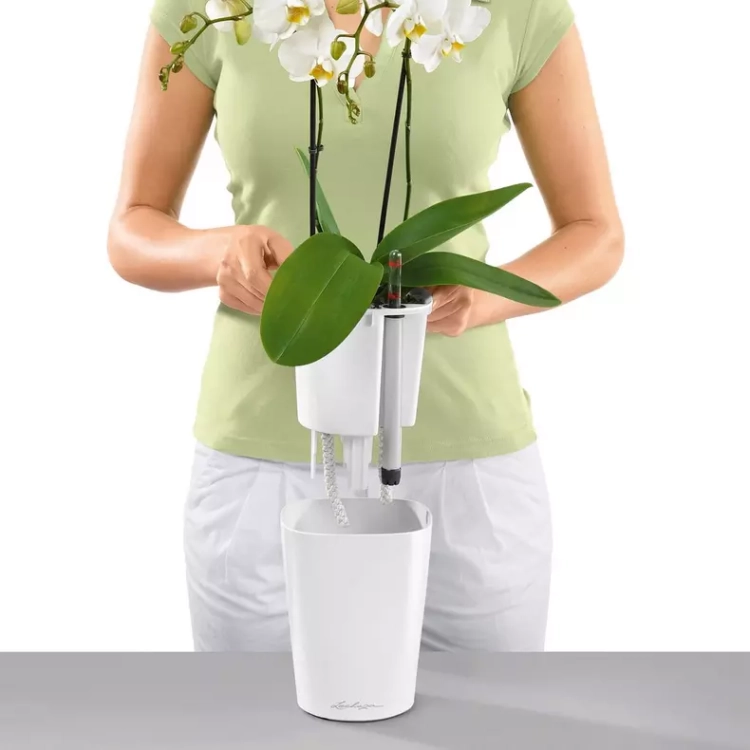 DELTINI Premium matt white (4).webp