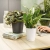 DELTINI Premium matt white (5).webp