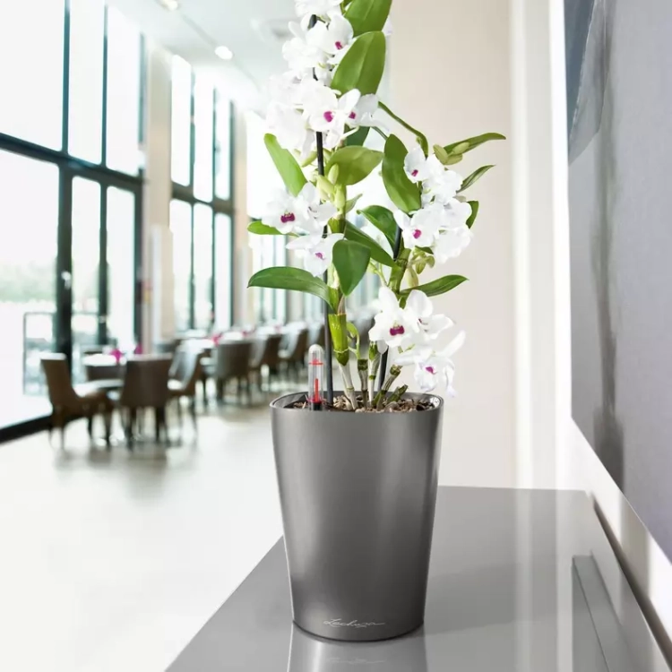 DELTINI Premium matt white (9).webp