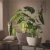 NAVIO Color 10 sand brown (2).webp
