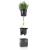 CUBE Premium 16 matt white (2).webp