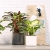 CUBE Premium 16 matt white (6).webp