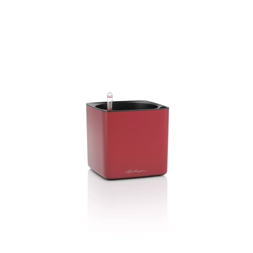 CUBE Premium 16 scarlet red matt.webp