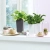MAXI-CUBI Premium matt white (5).webp