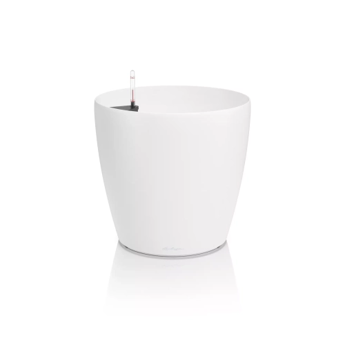 CLASSICO Color 50 white.webp