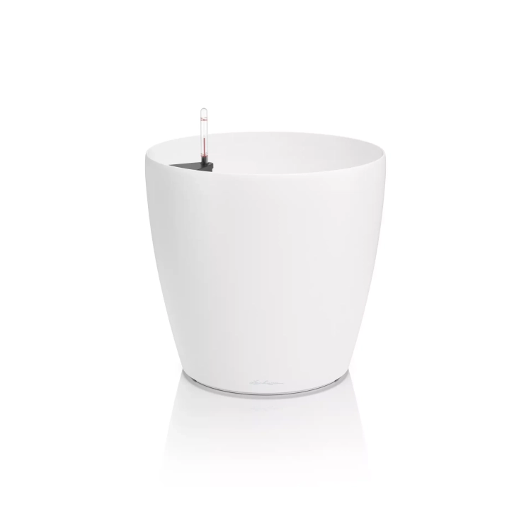 CLASSICO Color 50 white.webp