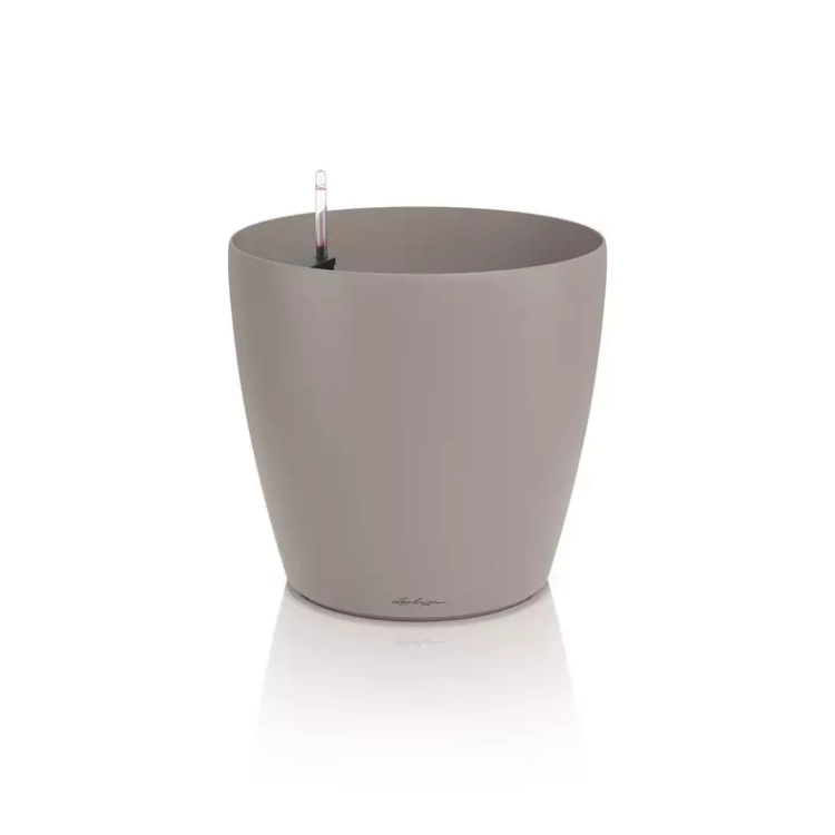 CLASSICO Color 50 sand brown.webp