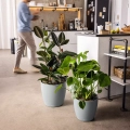 CLASSICO Color 50 white (2).webp