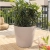 CLASSICO Color 50 white (5).webp