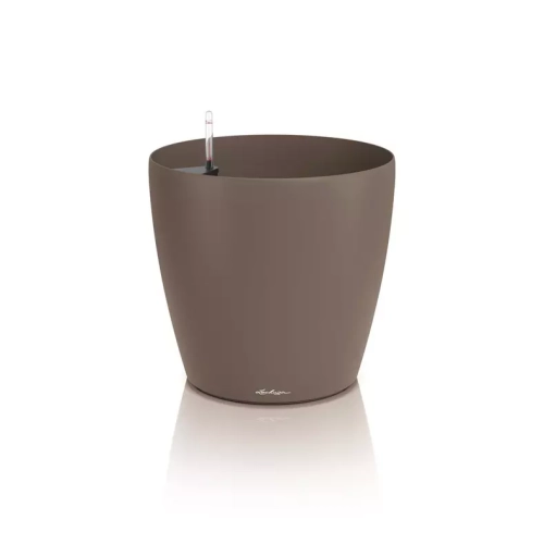 CLASSICO Color 50 nutmeg.webp