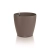 CLASSICO Color 50 nutmeg.webp