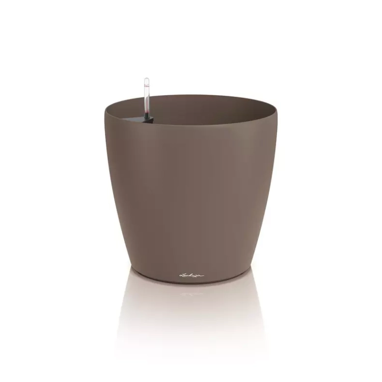 CLASSICO Color 50 nutmeg.webp