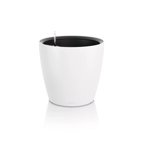 CLASSICO Color LS 50 white.webp