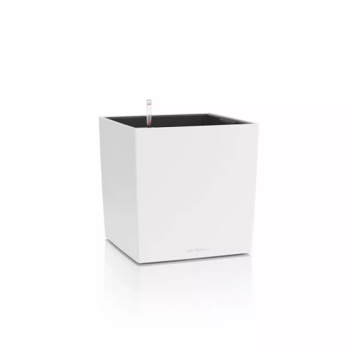 CUBE Color 40 white.webp