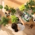 LECHUZA-PON Plant Substrate 3 liter (2).webp