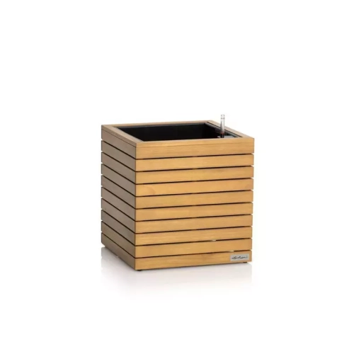 PALO Natural Wood 45 low eucalyptus wood.webp
