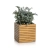 PALO Natural Wood 45 low eucalyptus wood (1).webp