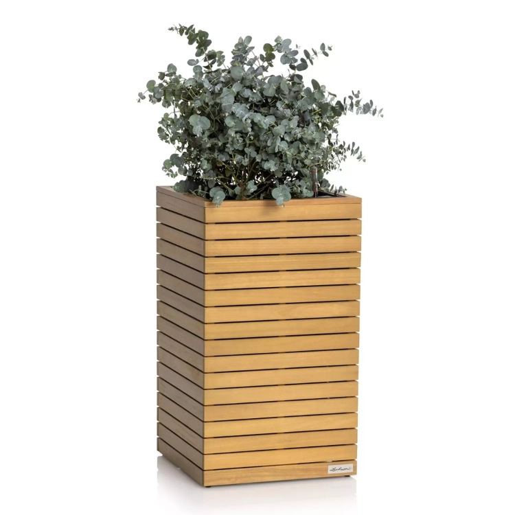 PALO Natural Wood 45 high eucalyptus wood.webp