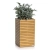 PALO Natural Wood 45 high eucalyptus wood.webp