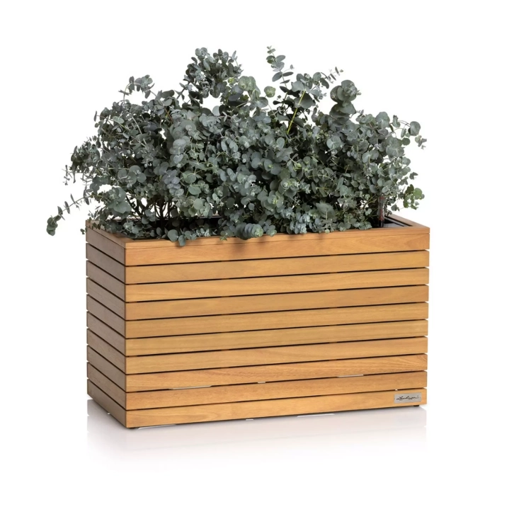 PALO Natural Wood 80 wide low eucalyptus wood.webp