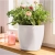 CLASSICO Color 18 hellgrau (7).webp
