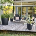CLASSICO Color 60 hellgrau (2).webp
