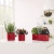 CUBE Premium Triple matt white (8).webp