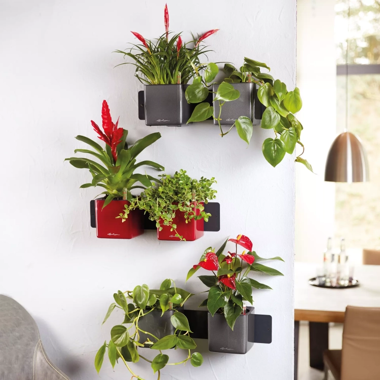 CUBE Premium Green Wall Home Kit matt white (4).webp