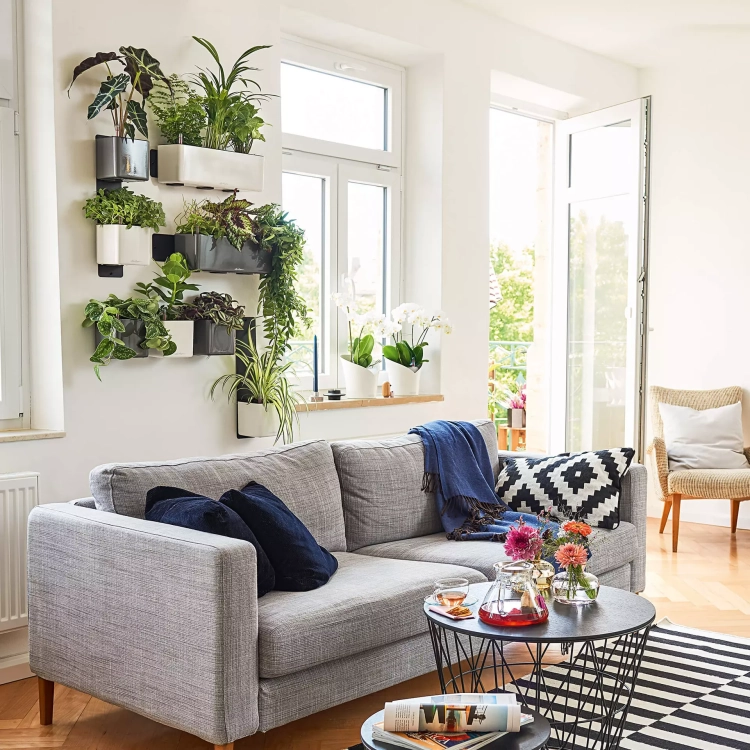 CUBE Premium Green Wall Home Kit matt white (5).webp