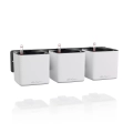 CUBE Premium Green Wall Home Kit matt white.webp