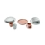 rustic_reborn_verlo_2.webp