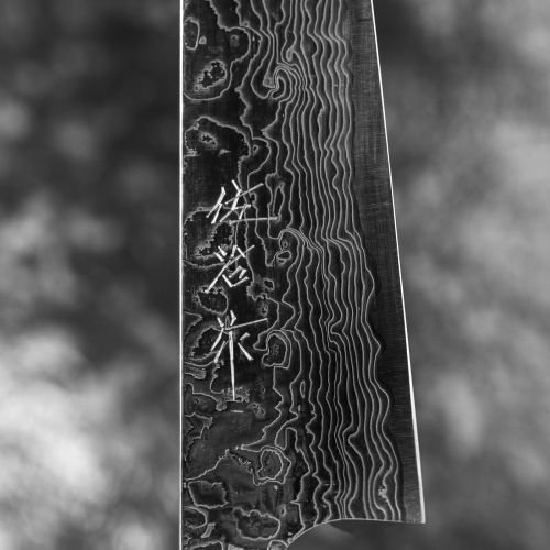 pol_pl_Takeshi-Saji-ME-R-2-Diamond-Noz-uniwersalny-13-cm-3542_2.jpg
