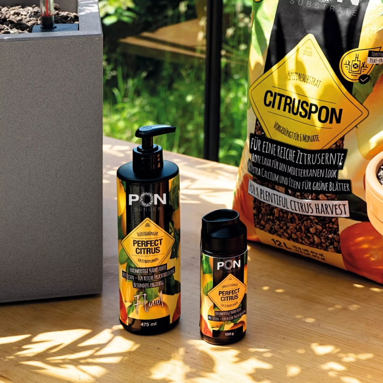 Slow release fertiliser PERFECT CITRUS 150 g (1).webp