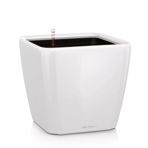 QUADRO Premium LS 50 white high-gloss.webp