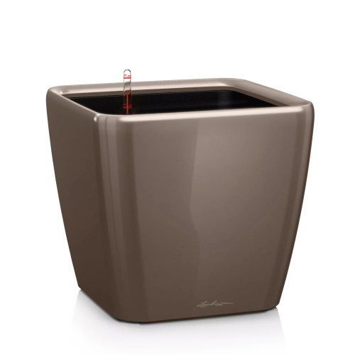 QUADRO Premium LS 50 shiny taupe.webp