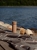FHZ37793-5722000377931_4.jpg