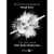 zirlion_13.webp